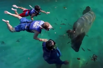 「ホモサッサスプリングス」徹底ガイド 【旅の大事典】